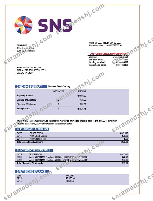 SNS Bank enterprise account statement Word and PDF template